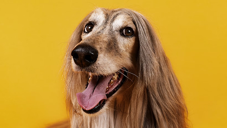 Тестовый товар